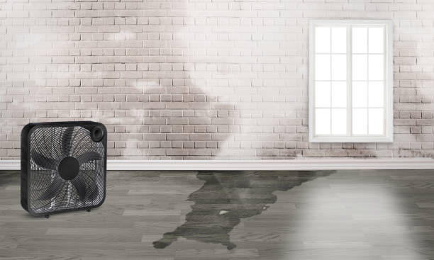  Sulphur, OK Water damage restoration Pros